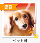 ペット可物件特集